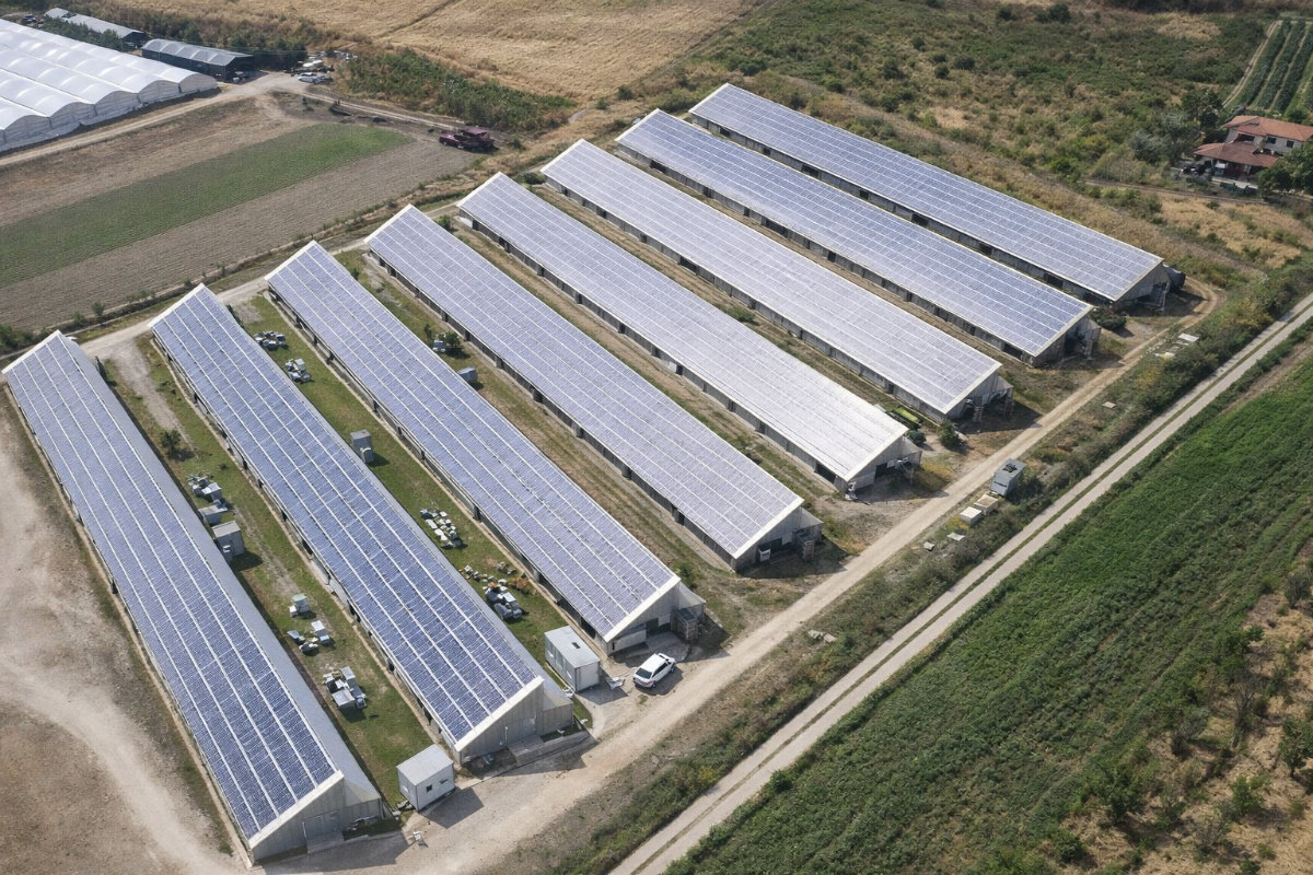 Smart Farm AgriRed - 8 Serre Fotovoltaiche a Tarquinia